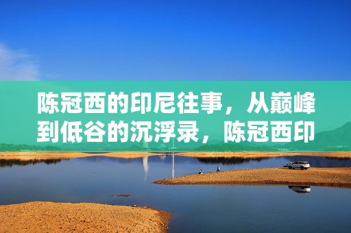 陈冠西的印尼往事，从巅峰到低谷的沉浮录，陈冠西印尼沉浮录，从巅峰到低谷