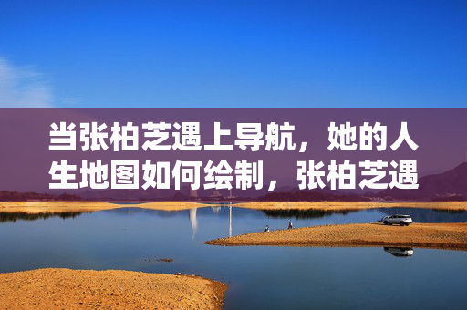 当张柏芝遇上导航，她的人生地图如何绘制，张柏芝遇上导航，人生地图的绘制