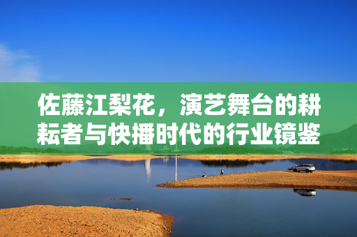佐藤江梨花，演艺舞台的耕耘者与快播时代的行业镜鉴，佐藤江梨花，演艺耕耘者与快播时代的行业镜鉴