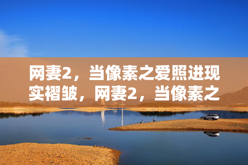 网妻2，当像素之爱照进现实褶皱，网妻2，当像素之爱照进现实褶皱