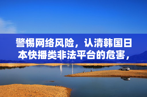 警惕网络风险，认清韩国日本快播类非法平台的危害，警惕韩国日本快播类非法平台，认清危害，规避网络风险