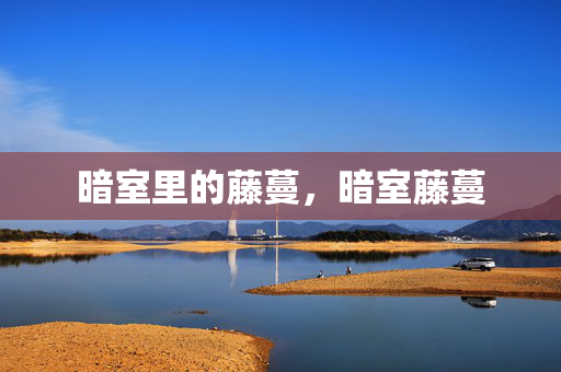 暗室里的藤蔓，暗室藤蔓
