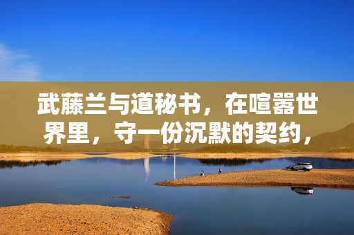 武藤兰与道秘书，在喧嚣世界里，守一份沉默的契约，喧嚣世界的沉默契约，武藤兰与道秘书