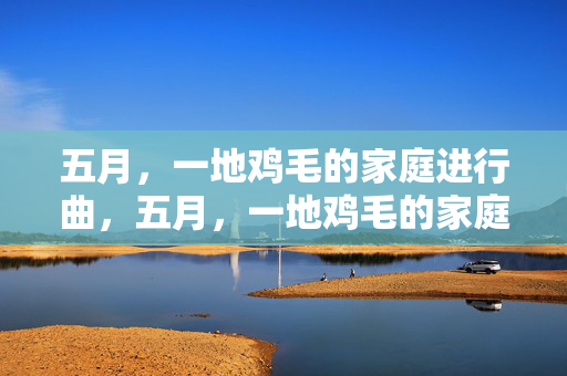 五月，一地鸡毛的家庭进行曲，五月，一地鸡毛的家庭进行曲