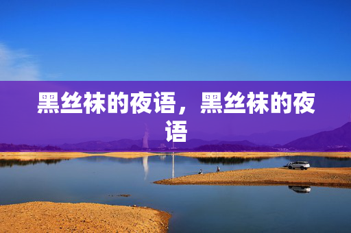 黑丝袜的夜语，黑丝袜的夜语