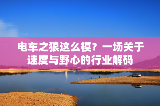 电车之狼这么模？一场关于速度与野心的行业解码