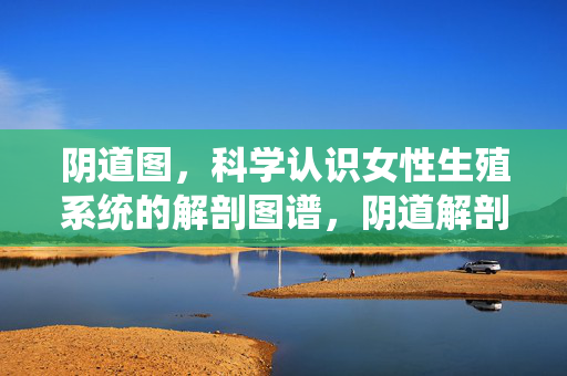 阴道图，科学认识女性生殖系统的解剖图谱，阴道解剖图谱，科学认识女性生殖系统