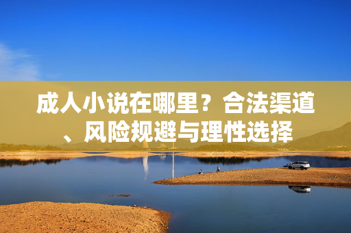 成人小说在哪里?合法渠道、风险规避与理性选择 成人小说在哪里?合法渠道、风险规避与理性选择
