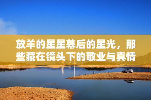 放羊的星星幕后的星光,那些藏在镜头下的敬业与真情,放羊的星星,镜头后的敬业星光 放羊的星星幕后的星光,那些藏在镜头下的敬业与真情,放羊的星星,镜头后的敬业星光