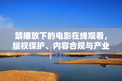 禁播放下的电影在线观看，版权保护、内容合规与产业生态的重构，禁播放电影在线观看，版权保护、内容合规与产业生态重构