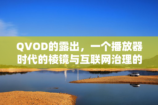 QVOD的露出，一个播放器时代的棱镜与互联网治理的回响，QVOD，播放器时代的棱镜与互联网治理的回响