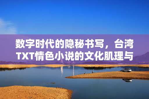 数字时代的隐秘书写,台湾TXT情色小说的文化肌理与传播生态,数字时代隐秘书写,台湾TXT情色小说的文化肌理与传播生态 数字时代的隐秘书写,台湾TXT情色小说的文化肌理与传播生态,数字时代隐秘书写,台湾TXT情色小说的文化肌理与传播生态