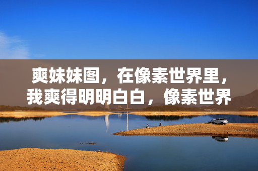 爽妹妹图，在像素世界里，我爽得明明白白，像素世界爽妹妹图，爽得明明白白
