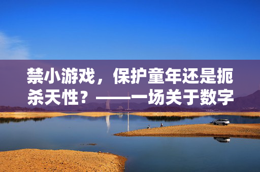 禁小游戏，保护童年还是扼杀天性？——一场关于数字时代的成长博弈