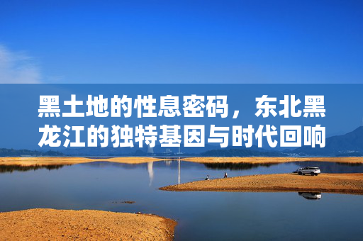 黑土地的性息密码，东北黑龙江的独特基因与时代回响，黑土地的独特基因与时代回响