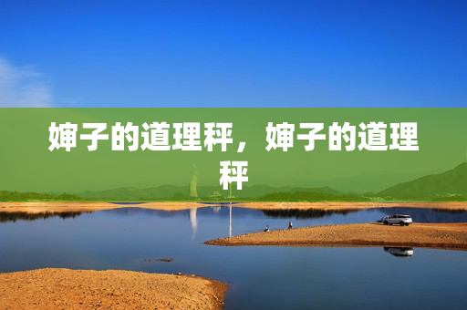 婶子的道理秤，婶子的道理秤