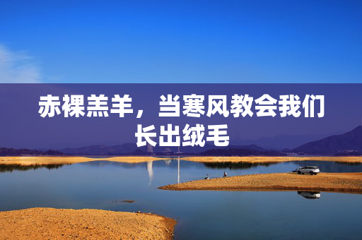 赤裸羔羊，当寒风教会我们长出绒毛