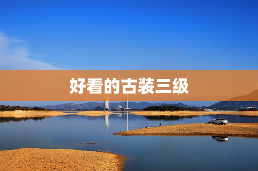 好看的古装三级