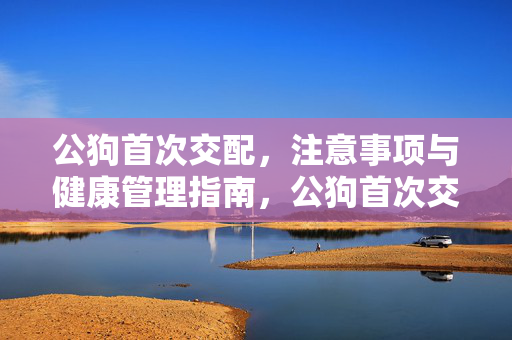 公狗首次交配，注意事项与健康管理指南，公狗首次交配注意事项与健康管理指南