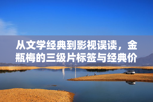从文学经典到影视误读，金瓶梅的三级片标签与经典价值的再审视，金瓶梅，三级片标签与经典价值的再审视