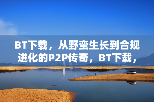 BT下载,从野蛮生长到合规进化的P2P传奇,BT下载,野蛮生长到合规进化的P2P传奇 BT下载,从野蛮生长到合规进化的P2P传奇,BT下载,野蛮生长到合规进化的P2P传奇