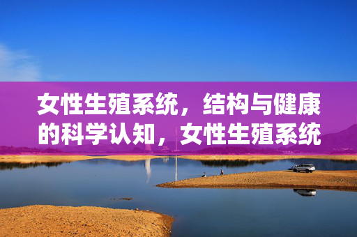 女性生殖系统,结构与健康的科学认知,女性生殖系统结构与健康的科学认知 女性生殖系统,结构与健康的科学认知,女性生殖系统结构与健康的科学认知
