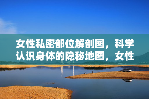女性私密部位解剖图，科学认识身体的隐秘地图，女性私密部位科学解剖图，身体的隐秘地图