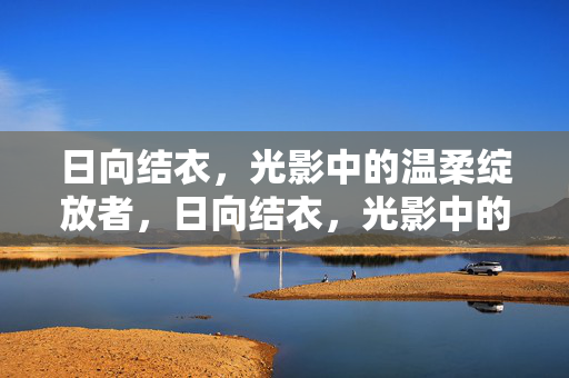 日向结衣，光影中的温柔绽放者，日向结衣，光影中的温柔绽放