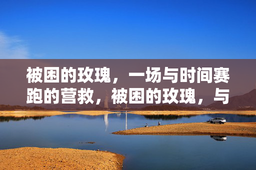 被困的玫瑰,一场与时间赛跑的营救,被困的玫瑰,与时间赛跑的营救 被困的玫瑰,一场与时间赛跑的营救,被困的玫瑰,与时间赛跑的营救