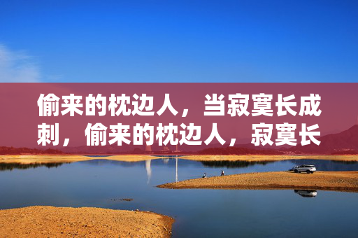 偷来的枕边人,当寂寞长成刺,偷来的枕边人,寂寞长成刺 偷来的枕边人,当寂寞长成刺,偷来的枕边人,寂寞长成刺