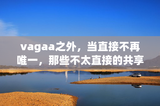 vagaa之外，当直接不再唯一，那些不太直接的共享逻辑藏着什么？