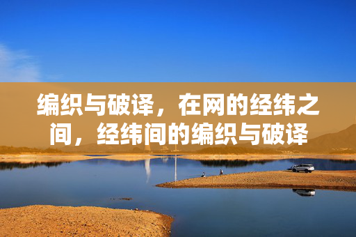 编织与破译,在网的经纬之间,经纬间的编织与破译 编织与破译,在网的经纬之间,经纬间的编织与破译