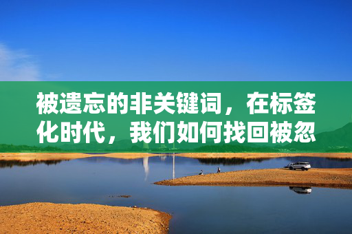 被遗忘的非关键词,在标签化时代,我们如何找回被忽略的意义,标签化时代,被遗忘的非关键词与意义重寻 被遗忘的非关键词,在标签化时代,我们如何找回被忽略的意义,标签化时代,被遗忘的非关键词与意义重寻