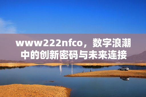 www222nfco,数字浪潮中的创新密码与未来连接 www222nfco,数字浪潮中的创新密码与未来连接