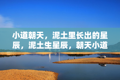 小道朝天,泥土里长出的星辰,泥土生星辰,朝天小道 小道朝天,泥土里长出的星辰,泥土生星辰,朝天小道