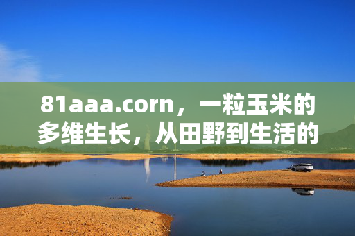 81aaa.corn，一粒玉米的多维生长，从田野到生活的温柔联结，一粒玉米的多维生长，田野与生活的温柔联结