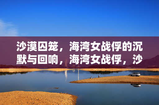 沙漠囚笼,海湾女战俘的沉默与回响,海湾女战俘,沙漠囚笼中的沉默与回响 沙漠囚笼,海湾女战俘的沉默与回响,海湾女战俘,沙漠囚笼中的沉默与回响