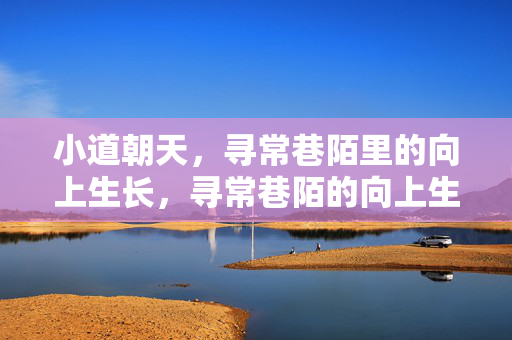 小道朝天，寻常巷陌里的向上生长，寻常巷陌的向上生长