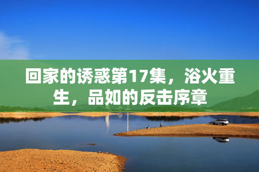 回家的诱惑第17集,浴火重生,品如的反击序章 回家的诱惑第17集,浴火重生,品如的反击序章
