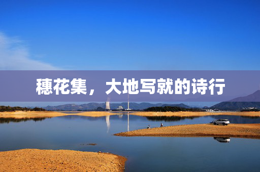 穗花集,大地写就的诗行 穗花集,大地写就的诗行