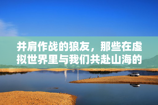 并肩作战的狼友，那些在虚拟世界里与我们共赴山海的伙伴，虚拟山海间，并肩的狼友