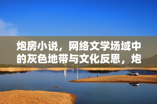 炮房小说，网络文学场域中的灰色地带与文化反思，炮房小说，网络文学场域的灰色地带与文化反思