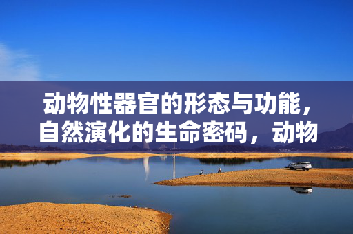 动物性器官的形态与功能，自然演化的生命密码，动物器官形态与功能，自然演化的生命密码