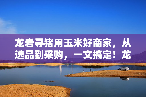 龙岩寻猪用玉米好商家，从选品到采购，一文搞定！龙岩寻猪用玉米好商家，选品采购一文搞定！