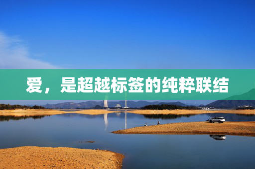 爱，是超越标签的纯粹联结