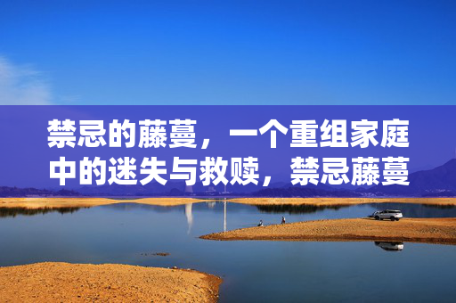 禁忌的藤蔓，一个重组家庭中的迷失与救赎，禁忌藤蔓，重组家庭的迷失与救赎