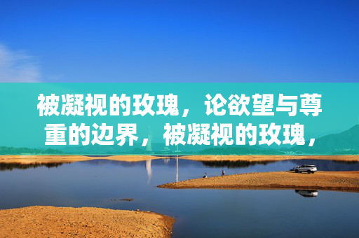 被凝视的玫瑰，论欲望与尊重的边界，被凝视的玫瑰，欲望与尊重的边界