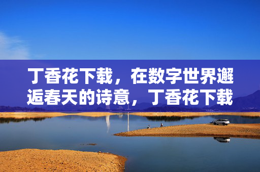 丁香花下载，在数字世界邂逅春天的诗意，丁香花下载，数字世界的春日诗语