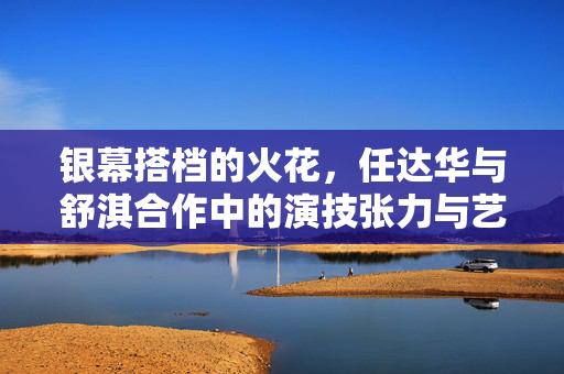 银幕搭档的火花，任达华与舒淇合作中的演技张力与艺术探讨，任达华舒淇，银幕搭档的演技张力与艺术火花