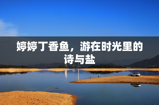 婷婷丁香鱼，游在时光里的诗与盐